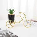 Metal Cycle in Golden Colour With Ceremic Flower Pot